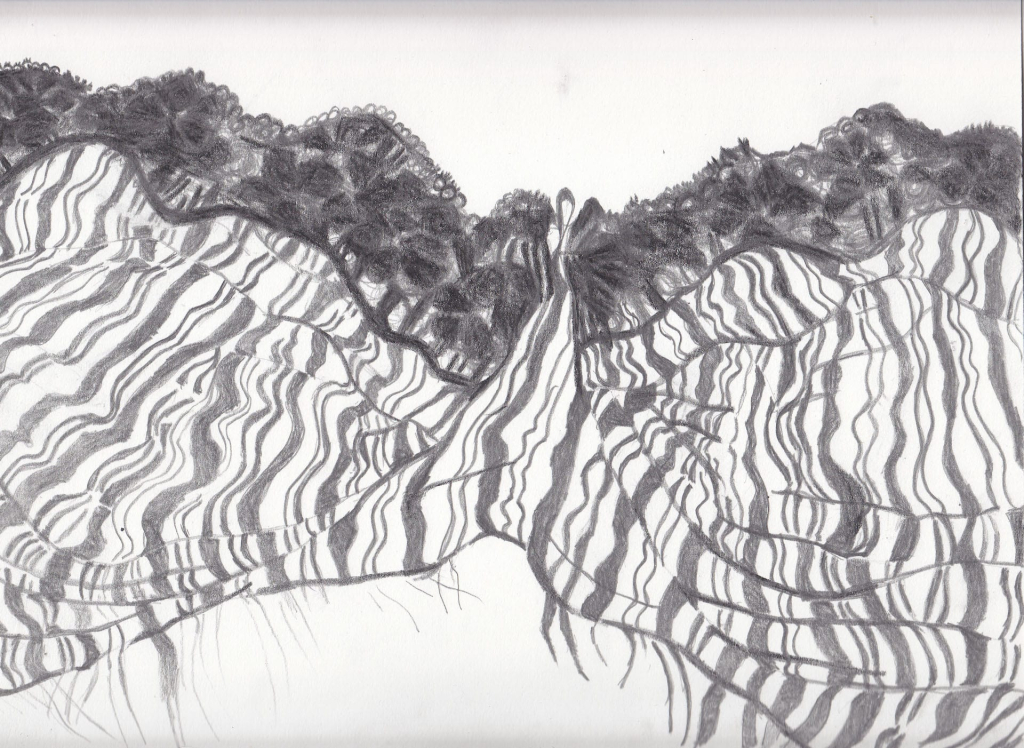 Ce dessin a été réalisé au crayon graphite sur papier sans acide, à partir d’un travail mêlant gestes fluides et zones de densité contrastée. J’ai cherché à instaurer une tension entre deux registres visuels :
d’un côté, des lignes sinueuses, presque topographiques, qui évoquent pour moi des plis textiles ou des formes organiques en mouvement ;
de l’autre, une texture plus riche et veloutée dans la partie supérieure, obtenue par superpositions et frottages, qui rappelle la dentelle ou un amas végétal.

Je joue ici avec les effets de transparence et d’opacité. Les motifs rayés, tracés dans une gamme allant du gris clair au noir profond, créent une illusion de volume et de matière flottante. En contraste, la partie supérieure apparaît plus compacte, presque tactile. L’ensemble forme une symétrie centrale, que j’imagine comme une ouverture — une paire d’ailes, une faille, ou encore un fragment de vêtement vu de très près.

Mon geste oscille entre précision rythmique et liberté du trait. Des hachures discrètes, des frottements légers en périphérie, témoignent de ma démarche exploratoire et sensorielle face au dessin.